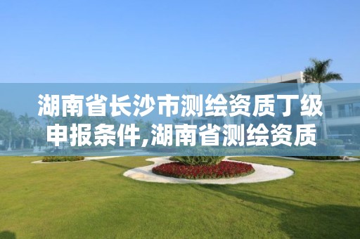 湖南省长沙市测绘资质丁级申报条件,湖南省测绘资质查询
