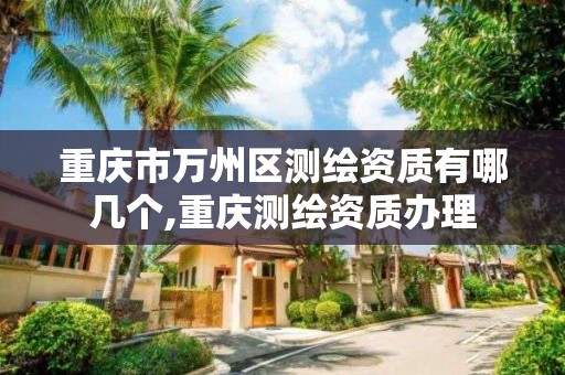 重庆市万州区测绘资质有哪几个,重庆测绘资质办理
