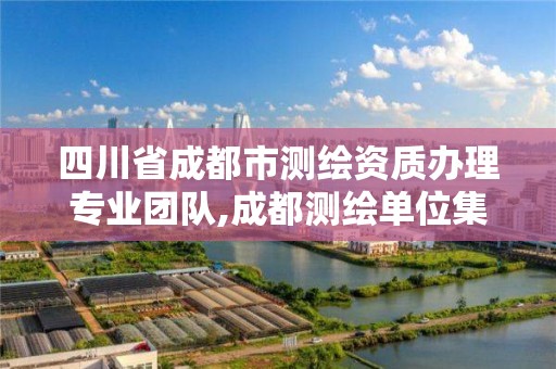 四川省成都市测绘资质办理专业团队,成都测绘单位集中在哪些地方