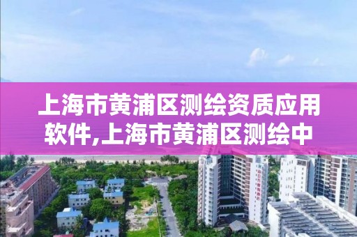 上海市黄浦区测绘资质应用软件,上海市黄浦区测绘中心 上海市黄浦区测绘资质应用软件,上海市黄浦区测绘中心