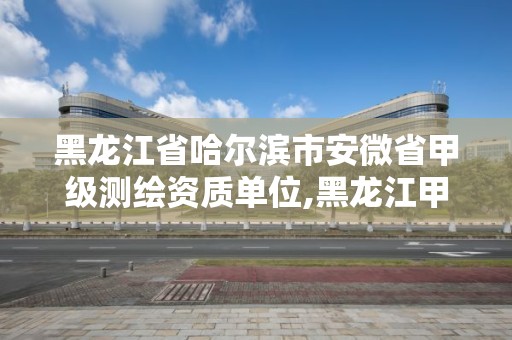 黑龙江省哈尔滨市安微省甲级测绘资质单位,黑龙江甲级测绘公司。