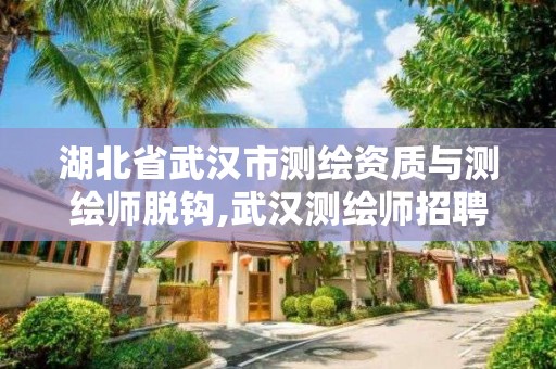 湖北省武汉市测绘资质与测绘师脱钩,武汉测绘师招聘