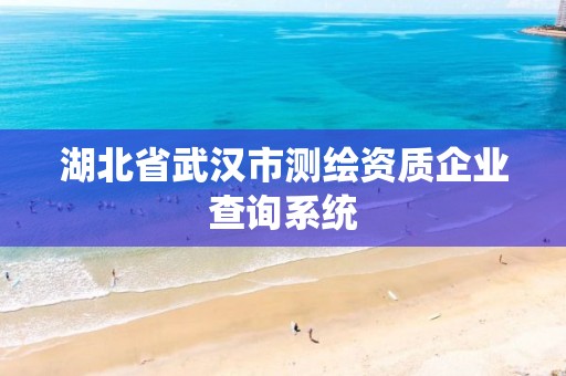 湖北省武汉市测绘资质企业查询系统