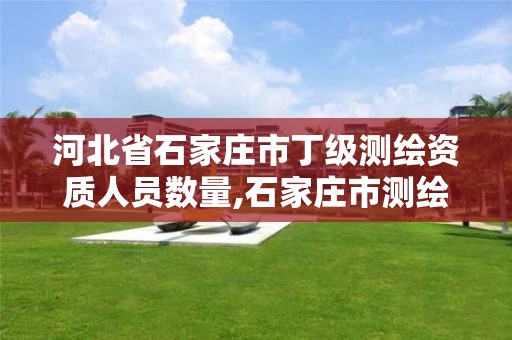 河北省石家庄市丁级测绘资质人员数量,石家庄市测绘院 河北省石家庄市丁级测绘资质人员数量,石家庄市测绘院