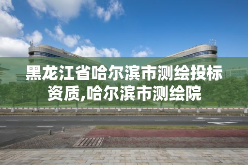 黑龙江省哈尔滨市测绘投标资质,哈尔滨市测绘院 黑龙江省哈尔滨市测绘投标资质,哈尔滨市测绘院