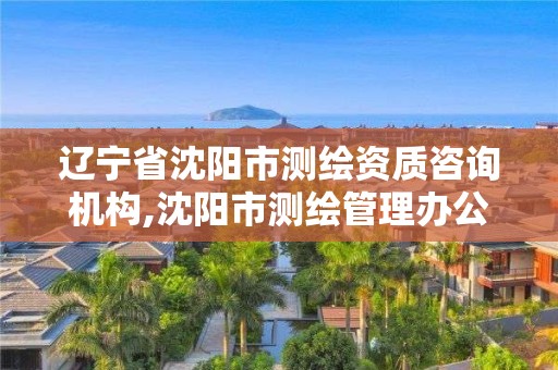 辽宁省沈阳市测绘资质咨询机构,沈阳市测绘管理办公室
