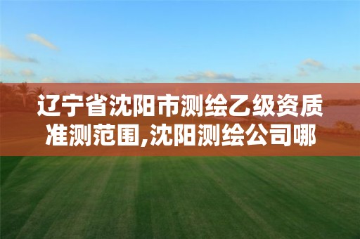 辽宁省沈阳市测绘乙级资质准测范围,沈阳测绘公司哪家强哪家好