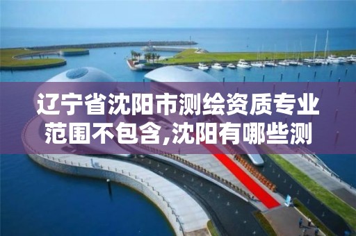 辽宁省沈阳市测绘资质专业范围不包含,沈阳有哪些测绘公司招聘