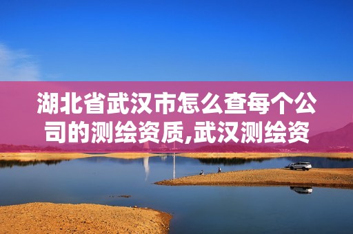 湖北省武汉市怎么查每个公司的测绘资质,武汉测绘资质代办。