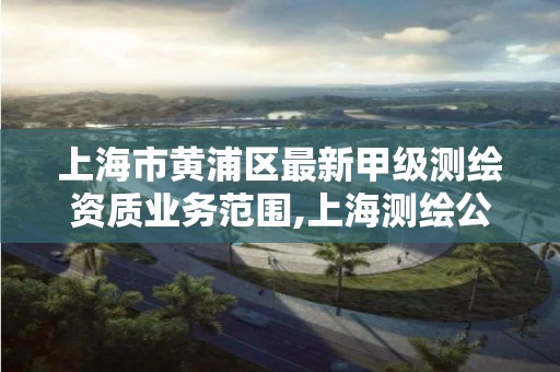 上海市黄浦区最新甲级测绘资质业务范围,上海测绘公司多吗。