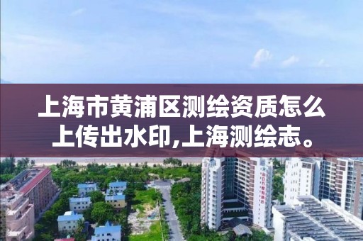 上海市黄浦区测绘资质怎么上传出水印,上海测绘志。