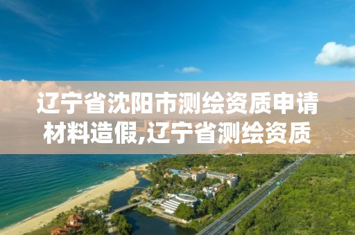 辽宁省沈阳市测绘资质申请材料造假,辽宁省测绘资质管理信息系统