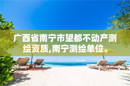 广西省南宁市望都不动产测绘资质,南宁测绘单位。