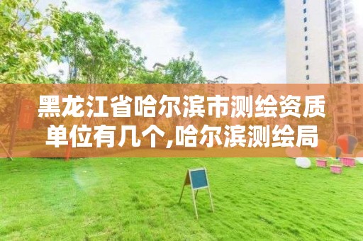 黑龙江省哈尔滨市测绘资质单位有几个,哈尔滨测绘局怎么样。 黑龙江省哈尔滨市测绘资质单位有几个,哈尔滨测绘局怎么样。