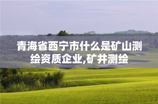 青海省西宁市什么是矿山测绘资质企业,矿井测绘 青海省西宁市什么是矿山测绘资质企业,矿井测绘