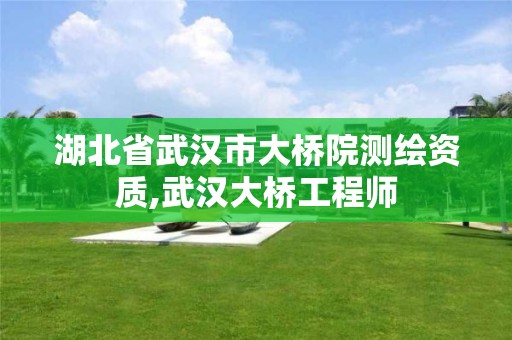 湖北省武汉市大桥院测绘资质,武汉大桥工程师