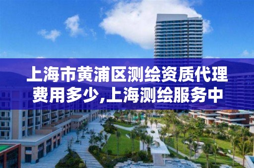 上海市黄浦区测绘资质代理费用多少,上海测绘服务中心