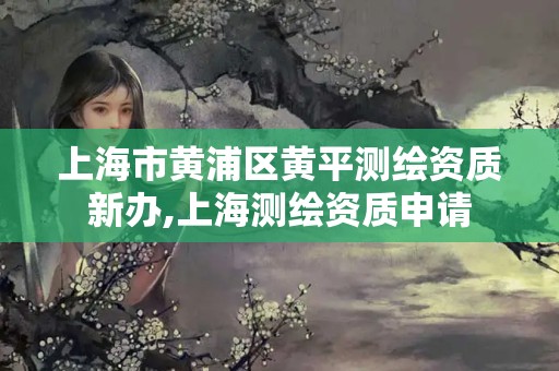 上海市黄浦区黄平测绘资质新办,上海测绘资质申请