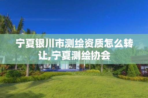 宁夏银川市测绘资质怎么转让,宁夏测绘协会