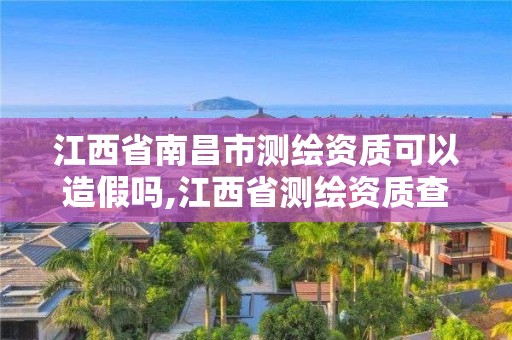 江西省南昌市测绘资质可以造假吗,江西省测绘资质查询