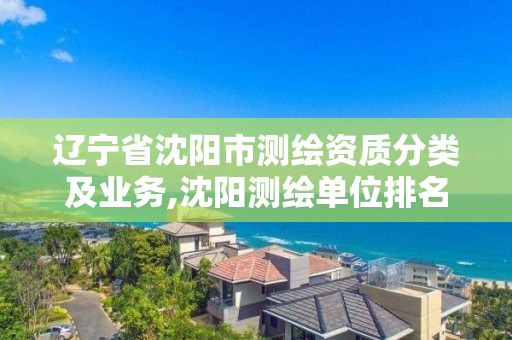辽宁省沈阳市测绘资质分类及业务,沈阳测绘单位排名