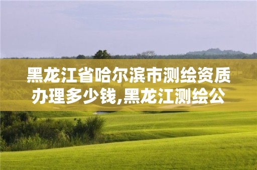 黑龙江省哈尔滨市测绘资质办理多少钱,黑龙江测绘公司乙级资质 黑龙江省哈尔滨市测绘资质办理多少钱,黑龙江测绘公司乙级资质