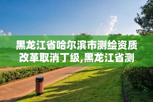 黑龙江省哈尔滨市测绘资质改革取消丁级,黑龙江省测绘资质延期通知