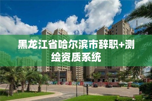 黑龙江省哈尔滨市辞职+测绘资质系统