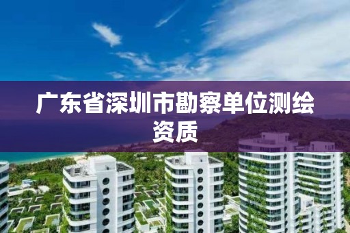 广东省深圳市勘察单位测绘资质
