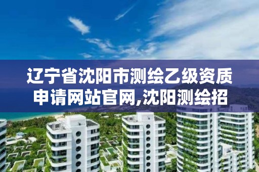 辽宁省沈阳市测绘乙级资质申请网站官网,沈阳测绘招聘信息