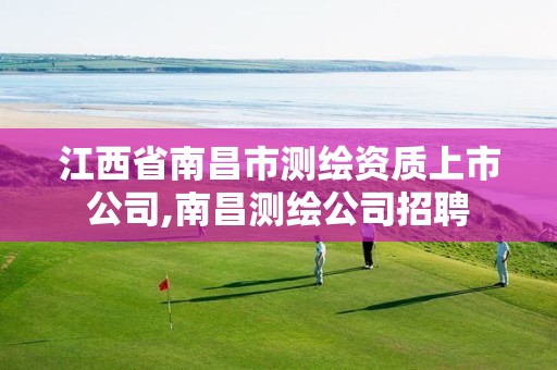 江西省南昌市测绘资质上市公司,南昌测绘公司招聘 江西省南昌市测绘资质上市公司,南昌测绘公司招聘