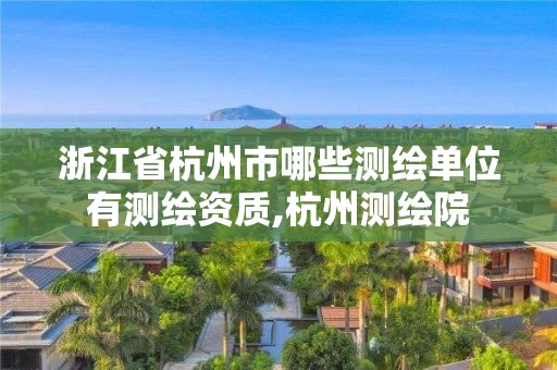 浙江省杭州市哪些测绘单位有测绘资质,杭州测绘院