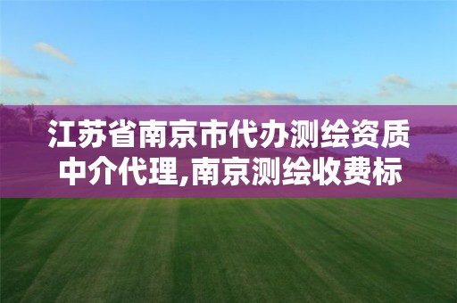 江苏省南京市代办测绘资质中介代理,南京测绘收费标准。