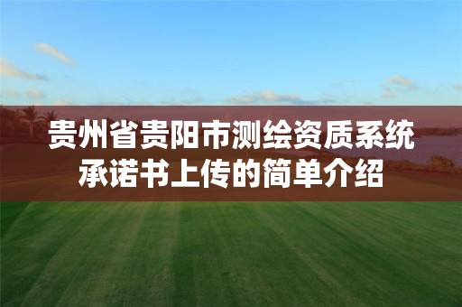 贵州省贵阳市测绘资质系统承诺书上传的简单介绍