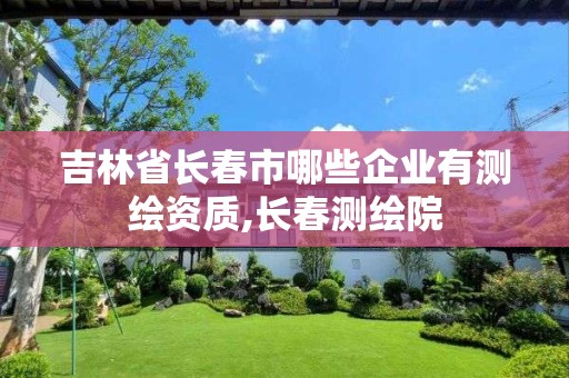 吉林省长春市哪些企业有测绘资质,长春测绘院
