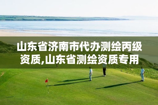 山东省济南市代办测绘丙级资质,山东省测绘资质专用章 丁级