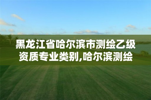 黑龙江省哈尔滨市测绘乙级资质专业类别,哈尔滨测绘有限公司