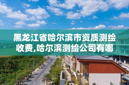 黑龙江省哈尔滨市资质测绘收费,哈尔滨测绘公司有哪些