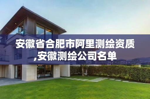 安徽省合肥市阿里测绘资质,安徽测绘公司名单