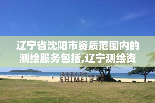 辽宁省沈阳市资质范围内的测绘服务包括,辽宁测绘资质查询。