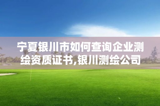 宁夏银川市如何查询企业测绘资质证书,银川测绘公司甲级。