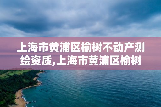 上海市黄浦区榆树不动产测绘资质,上海市黄浦区榆树不动产测绘资质公示。