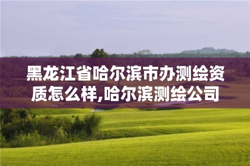 黑龙江省哈尔滨市办测绘资质怎么样,哈尔滨测绘公司电话。