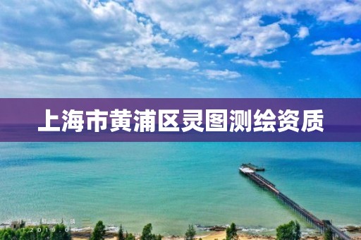 上海市黄浦区灵图测绘资质