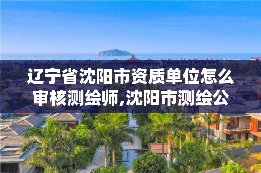 辽宁省沈阳市资质单位怎么审核测绘师,沈阳市测绘公司。
