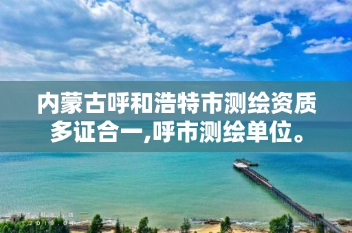 内蒙古呼和浩特市测绘资质多证合一,呼市测绘单位。