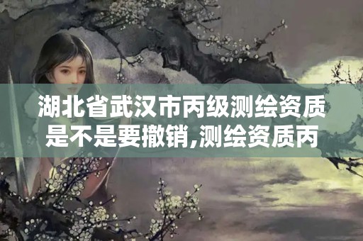 湖北省武汉市丙级测绘资质是不是要撤销,测绘资质丙级什么意思。