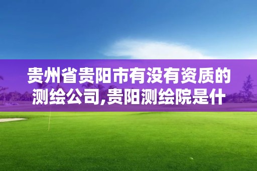 贵州省贵阳市有没有资质的测绘公司,贵阳测绘院是什么单位。