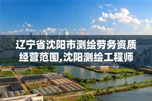 辽宁省沈阳市测绘劳务资质经营范围,沈阳测绘工程师招聘。