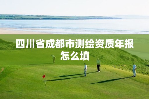 四川省成都市测绘资质年报怎么填